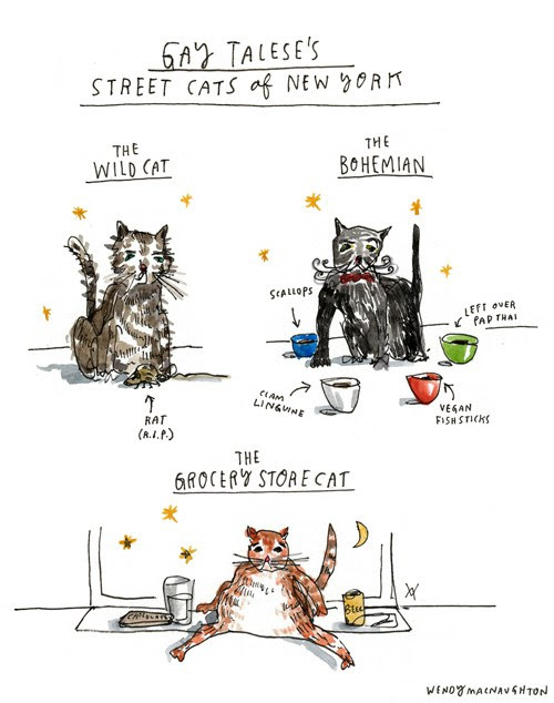 Wendy MacNaughton.jpg